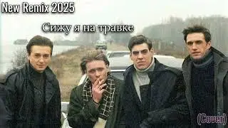 Сижу Я На Травке (COVER) New Remix 2025