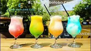 Car Rental Curacao: The 10 best cocktail bars in Cura&ccedil;ao
