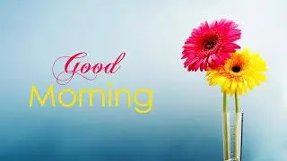 Good Morning || Enamul Mir ||