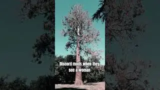 random slander #discordmods