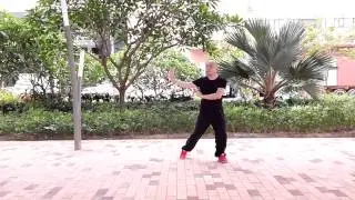傅式八卦掌陽八卦第一掌單換掌 Fu style bagua zhang yang bagua first palms