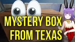 MYSTERY BOX FROM TEXAS! UNBOXING COLLECTIBLES!