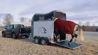 Cheval Liberte Gold 2 - Hestehenger Tilhengernor AS
