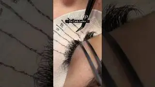 Curly Lashes - Lash Tip ✨