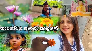 පිස්සුවෙන් වගේ ගෙවුණ දවස්😪
