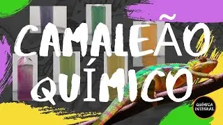 CAMALEÃO QUÍMICO [NÚMEROS DE OXIDAÇÃO DO MANGANÊS]