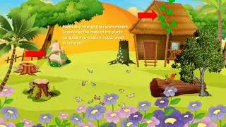 K Science: How do plants and animals change their environment?