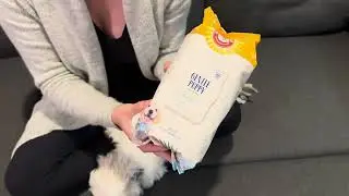 Review of Arm & Hammer Dog Grooming Wipes for your Puppy