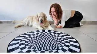 I Tried to Prank My Dog&hellip; But He Outsmarted Me!