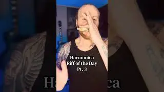 Still got the Blues 💙 #harmonica #blues #folk #roots #hohner
