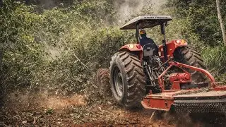 Trator Massey Ferguson 4292 HD Limpando Pasto// Continuação Do Último Vídeo!!