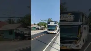 Basuri V4 Bus Zafira