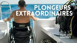 Plongeurs en situation de handicap : comme un poisson dans l'eau - Arvor - Reportage complet