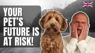 When Family Pets Are Left Behind: The Cost of Poor Planning