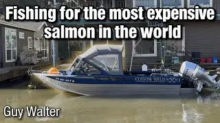 Fishing for the Most expensive Salmon in the world | Springer Salmon Quest