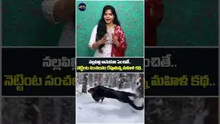 Cat To Black Panther | She Thoughts It's A Cat #blackpanther #luna #cat #wisemonkeysmedia