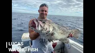 Fishing for dhu fish various trips (perth metro and bunbury)