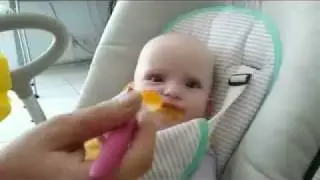 Ma&euml;lyne mange sa premi&egrave;re pur&eacute;e