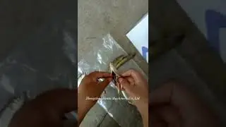 Video of Small Fish Killing Machine