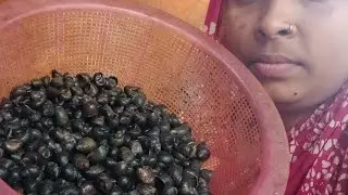 আজকে বানালাম জমির কোচি ষোরিসেশাক