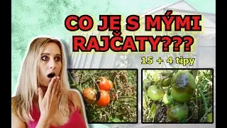 PĚSTOVÁNÍ RAJČAT: CHOROBY RAJČAT | RAJČATOVÁ PLÍSEŃ - PLÍSEŇ BRAMBOROVÁ, 15 TIPŮ PREVENCE + 4 ŘEŠENÍ
