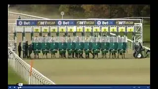 Graham Lee Jockey Horror Fall Newcastle 10th November