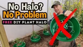 How to make a DIY Plant Halo for Free!