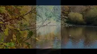 autumn walk VIRGINIA WATER