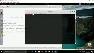 Passively Scan Targets Using nmap via shodan