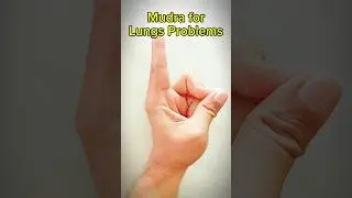 Mudra for lungs problems#shorts #miraclehands11 #mudra #lungs