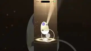 ✨Eggs✨ #pokemon #pokemongo #pok&eacute;mon #pokemoncommunity #pok&eacute;mongo #gaming #games