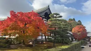 Tofuku-ji Temple Kyoto dicembre 2024