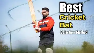 How to Select the Perfect Cricket Bat: A Comprehensive Guide - Panupi