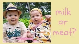 МОЛОКО ИЛИ МЯСО: Размышляя об истинном Евангелии