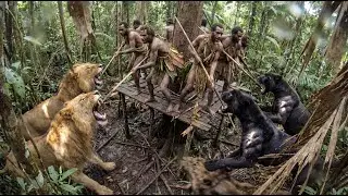 Korowai Tribe vs Wild Amazon | Ultimate Survival Full