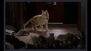 Willard (2003) - One Cat Vs. 1000 Rats