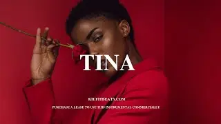 Afrobeat Instrumental x Afro Type Beat 2022-&ldquo;Tina&rdquo;