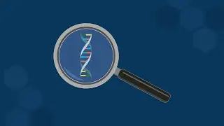 The Secondary Structure of DNA