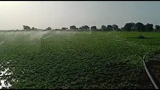 #MINI FUVARA IN  AT #GIR GADHADA.. .at Gujarat #tapak padhhati and #fuvara system in #gir somnat