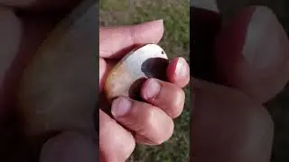 130 CTS Rare Carved Dragon and Phoenix Agate Crystal Stone Drilled Holes Natural Marks and Knicks