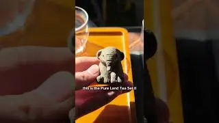 Что внутри этого чайного сервиза? #gongfutea