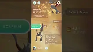 Shiny Lucky Charizard Trade#pokemon #rare shiny #viralvideo #pokemongo