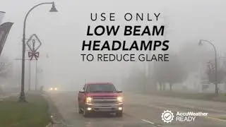 How to drive in dense fog