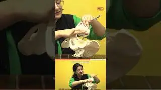 Когда следует подозревать ЦПД @medicinedecoded.