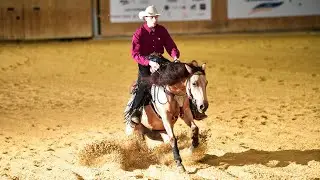 Fenrir Surprize Steps NRHA France SBH Open 140.5