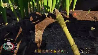 Exploring the Hedge Lab