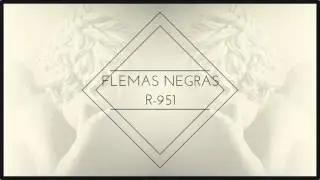 iron&iacute;as... Flemas Negras R-951