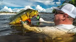 Amazon Peacock Bass Fishing: 