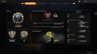 Master Prestige Stats + Best Nuclear Class Setups (COD BO4)
