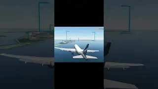 landing of acj 319 msfs  2020